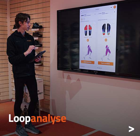 Loopanalyse