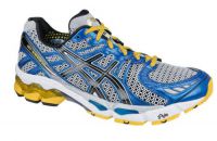 Asics Gel Kayano 17 blauw heren