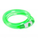 Bee-Safe Dog Led Band oplaadbaar USB green