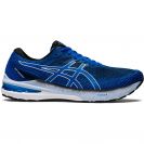Asics Gel GT-2000 10