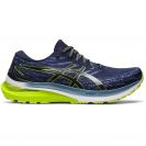 Asics Gel Kayano 29