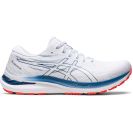 Asics Gel Kayano 29