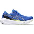 Asics Gel Kayano 30