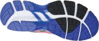 de opvolger van de Asics Gel GT-2170 (foto 2)
