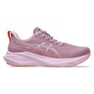 Asics Gel GT-2000 13