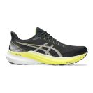 Asics Gel Pursue 10