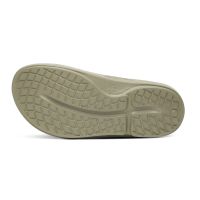 OOfos BASIS/1100 Foliage hr (foto 3)