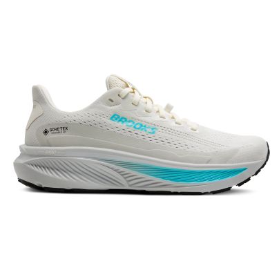 Brooks Ghost 17 GTX Dames