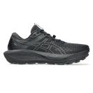 Asics Gel Trabuco 13 GTX