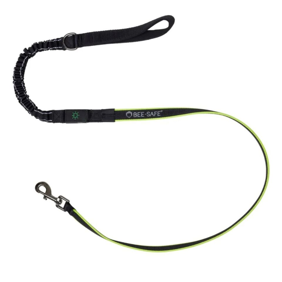 Bee-Safe Dog Leash LED USB (foto 1)