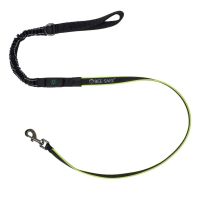 Bee-Safe Dog Leash LED USB
