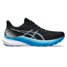 Asics Gel Pursue 10