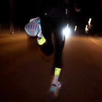 Incylence BASIS/0104061 canary (foto 3)