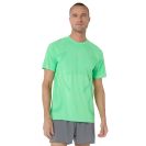 Asics shirt korte mouw Road Seamless