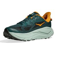 veelzijdige trailschoen voor asfalt én trail (foto 2)