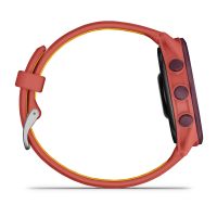 Garmin BASIS/010-03920-13 (foto 3)